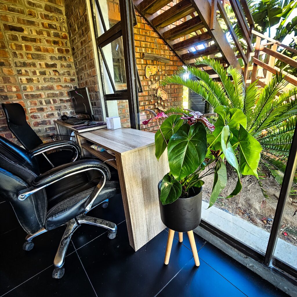 Modern office space with a wooden desk, ergonomic chair, and vibrant green plant by a large glass window, showcasing a productive environment for offering professional SEO services.