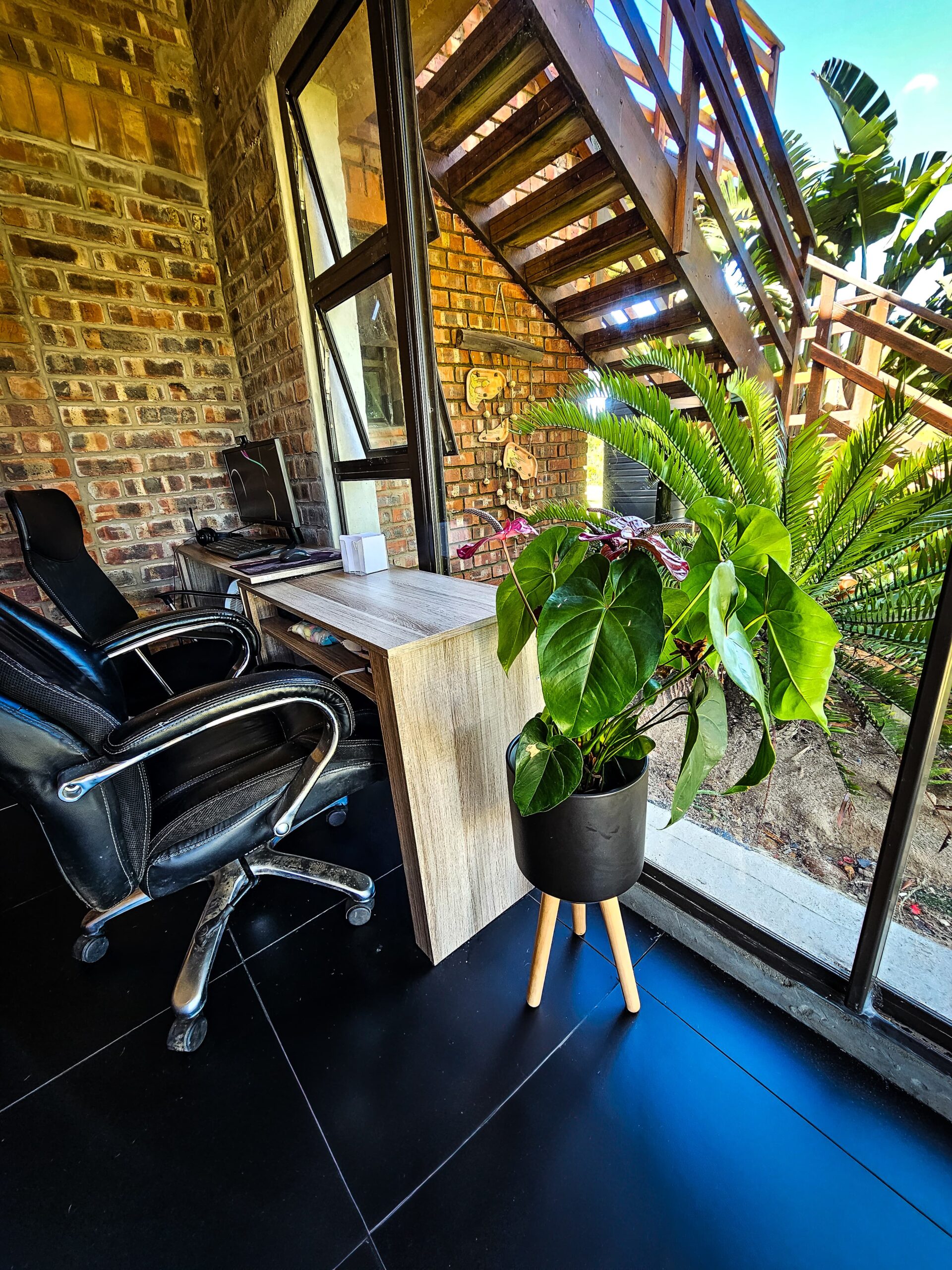 Modern office space with a wooden desk, ergonomic chair, and vibrant green plant by a large glass window, showcasing a productive environment for offering professional SEO services.